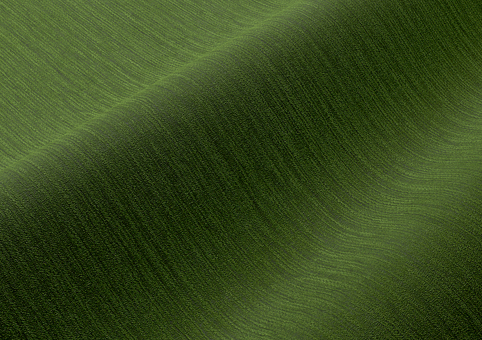 Kent, Green - Made to Measure Curtains - Image 4